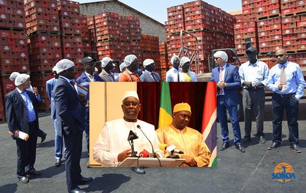 Senegal soft drinks