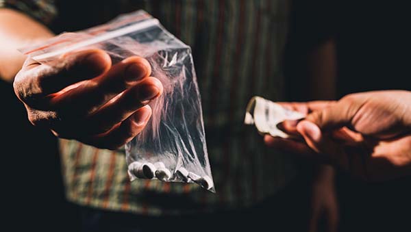 Drug haven