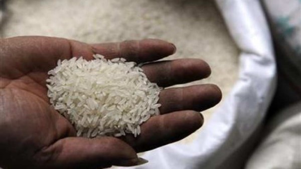 Government rice
